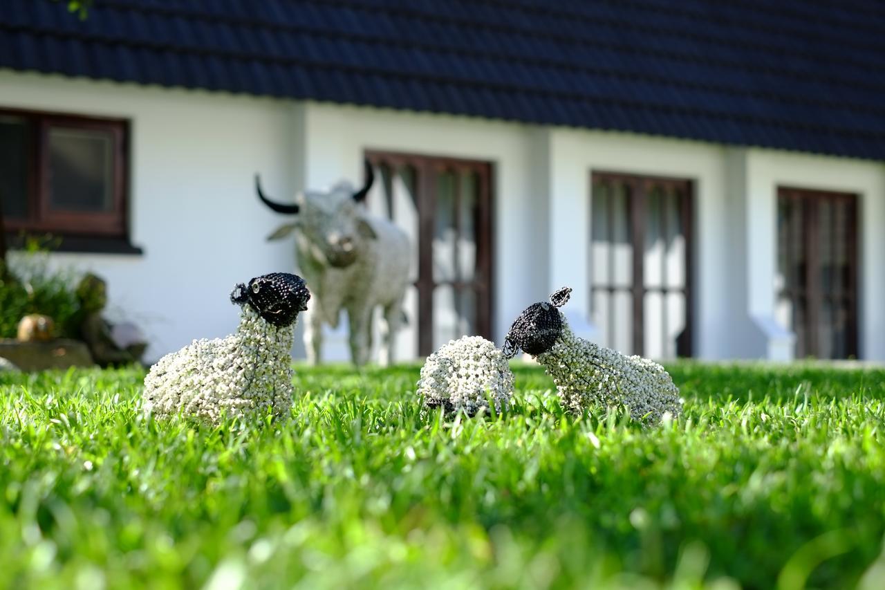 Kilmorna Manor Guest House Shoemanskloof Eksteriør bilde